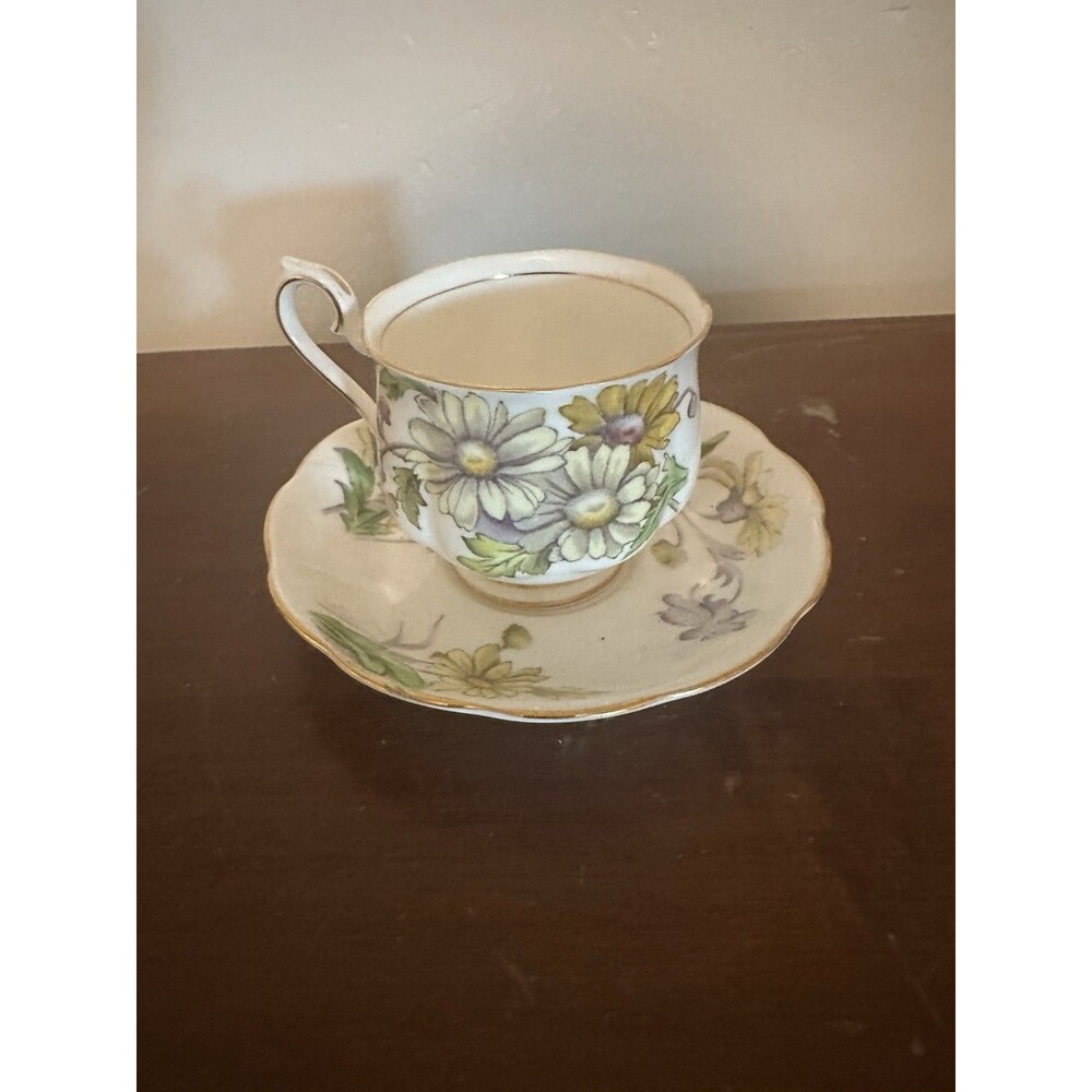 Royal Albert England Bone China Teacup & Saucer Daisy print Hand painted READ